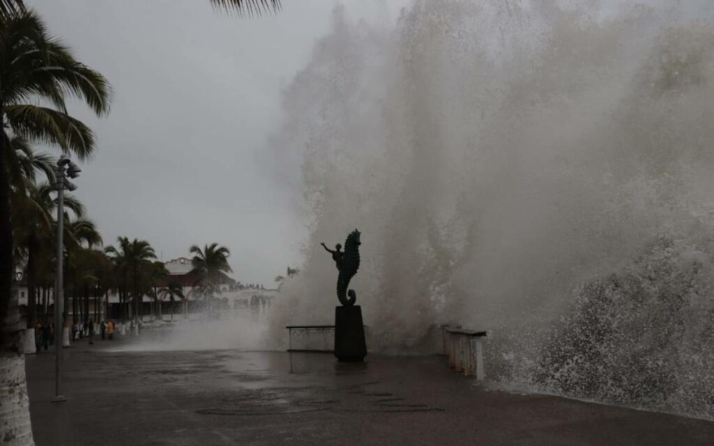 プエルトバヤルタ津波避難訓練：実施日時と内容