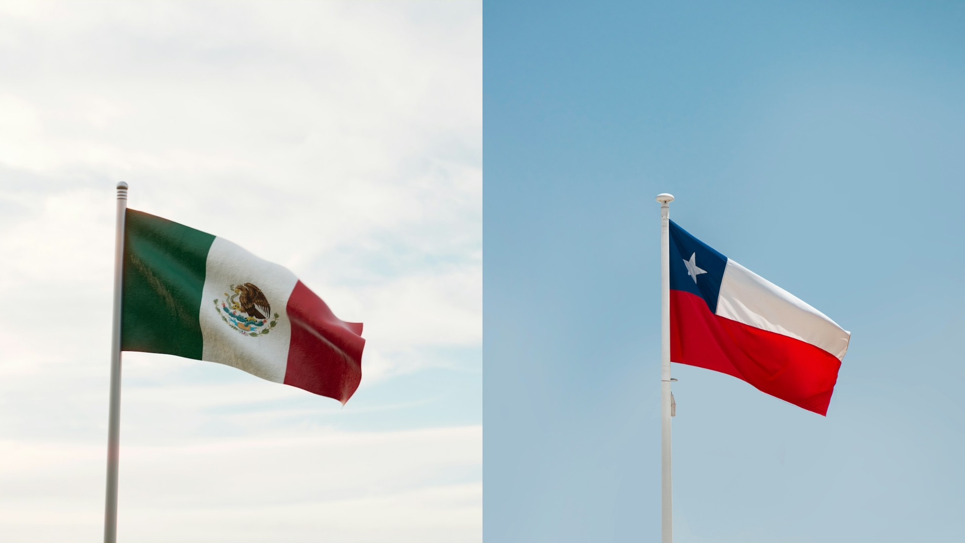 メキシコとチリの間の貿易関係：SE