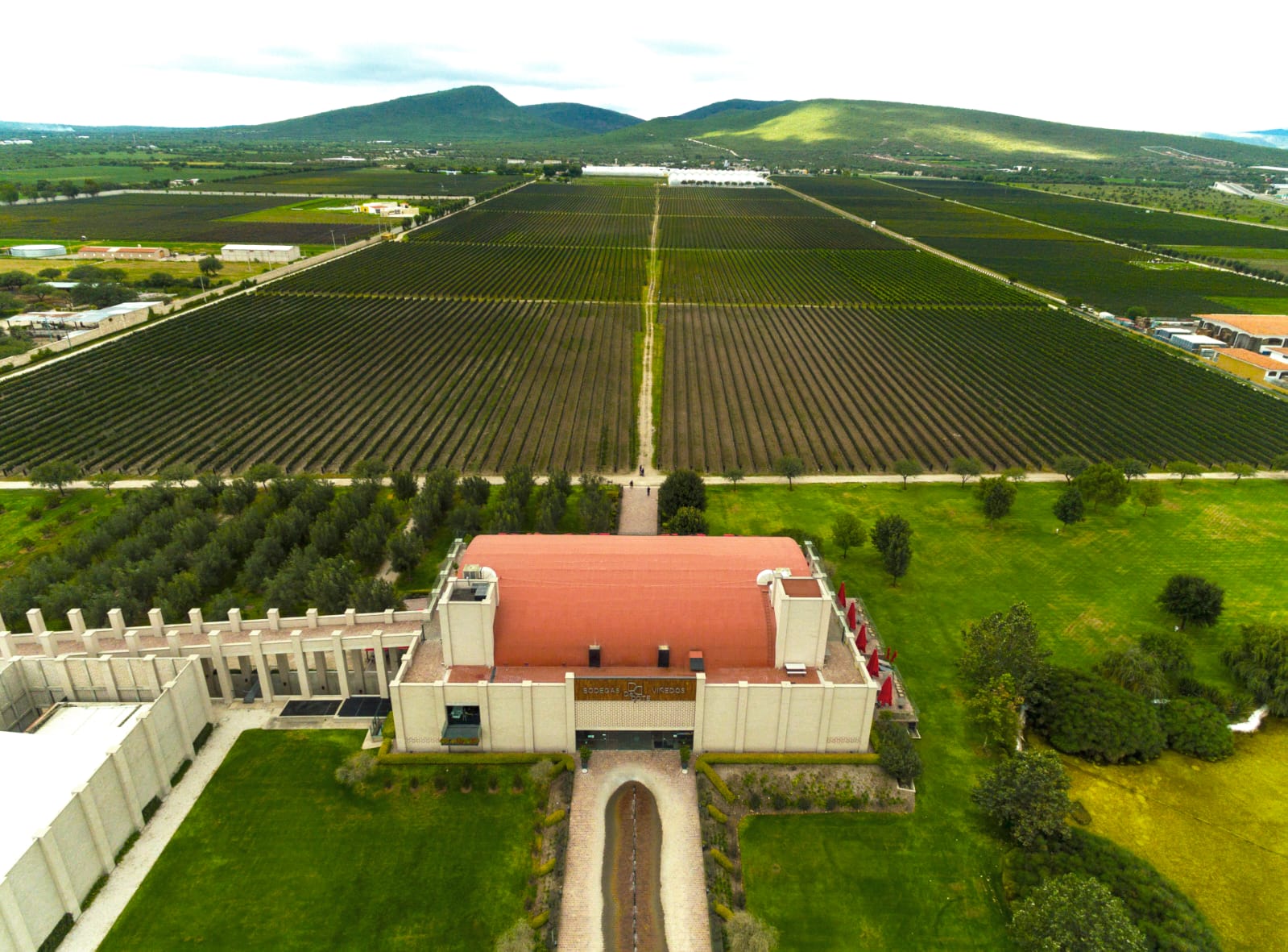 ケレタロのワイン：発展途上の産業における課題